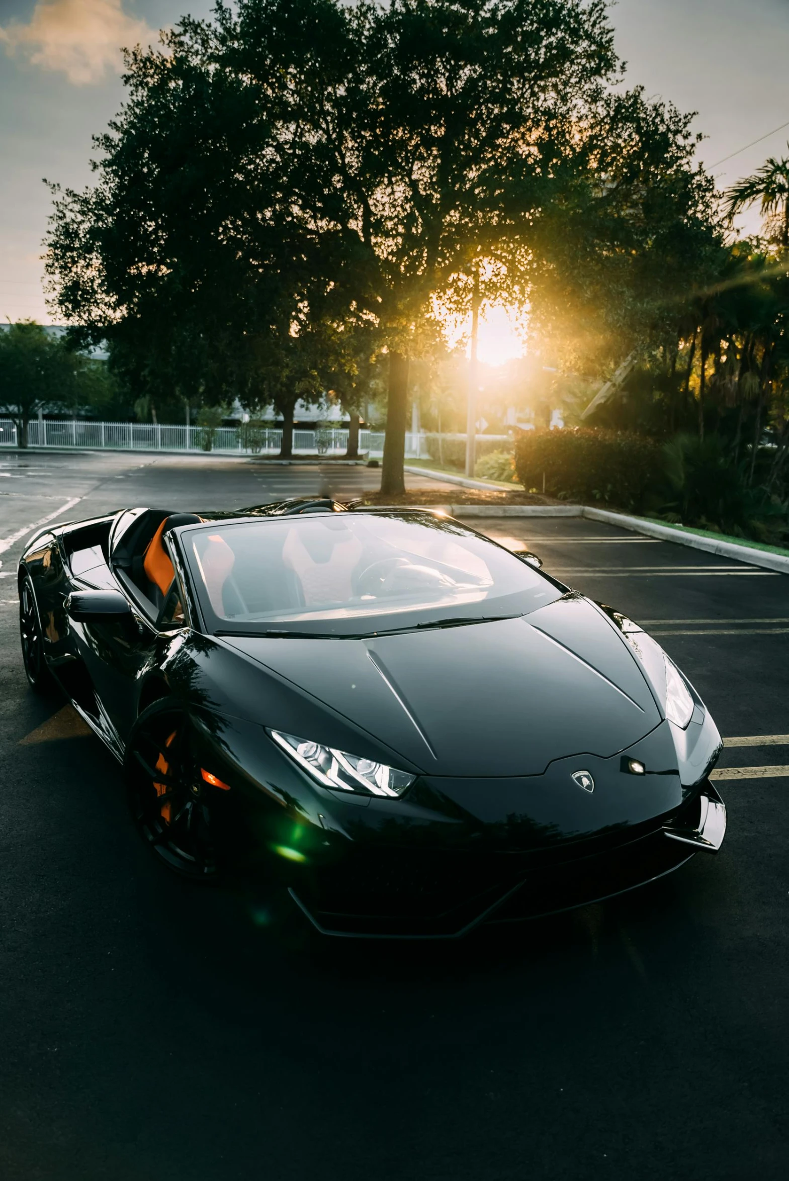 a black sports car parked on the street in front of trees