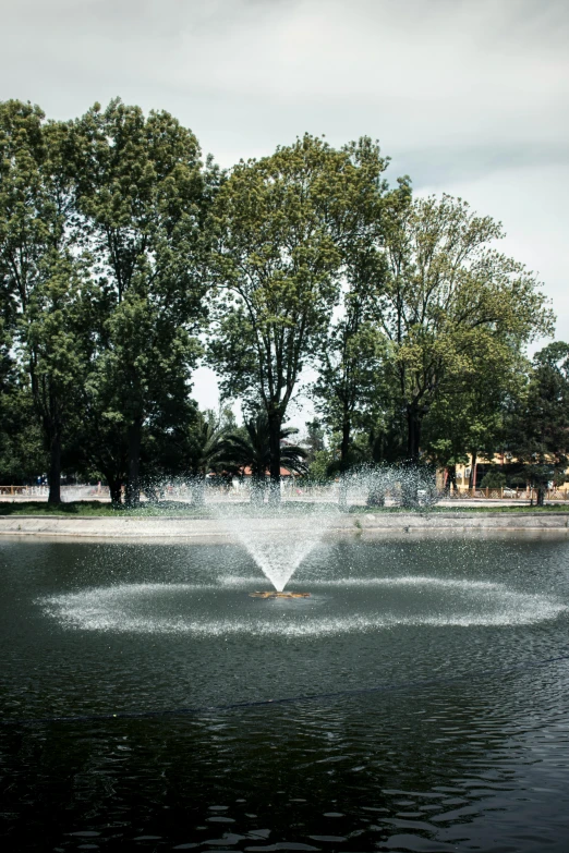 a park fountain spewing out water in front of trees