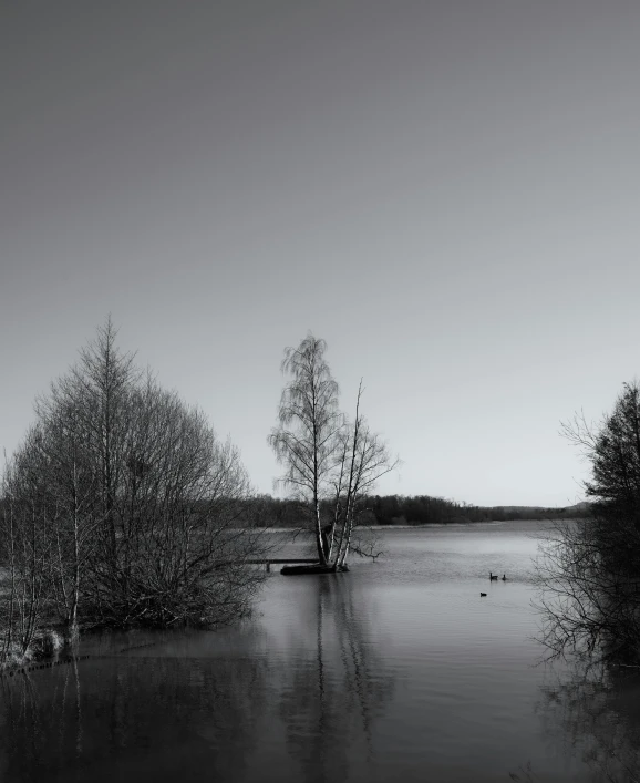 a boat sitting in a river next to trees