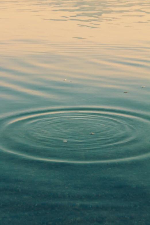 ripple in a pond with the waves on top