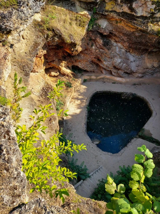 the inside of an abandoned swimming pool with moss growing