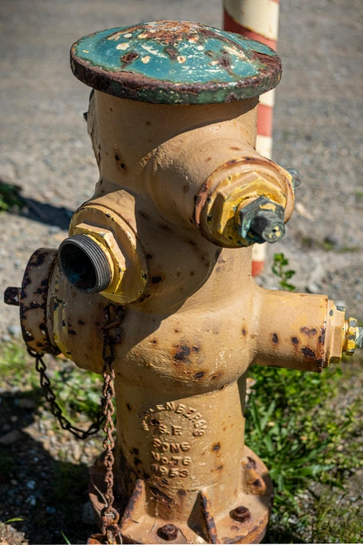 a yellow and green fire hydrant on the street