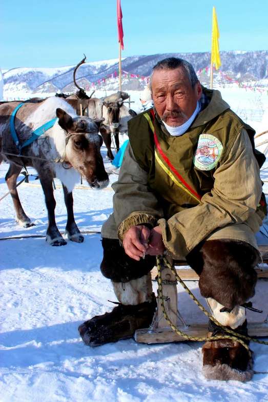 an older man sitting down in the snow next to goats