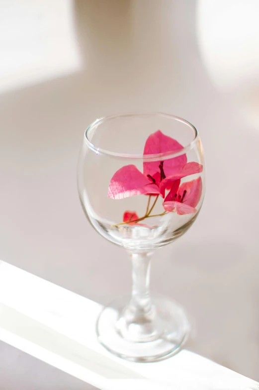 a flower in a wine glass on a white table