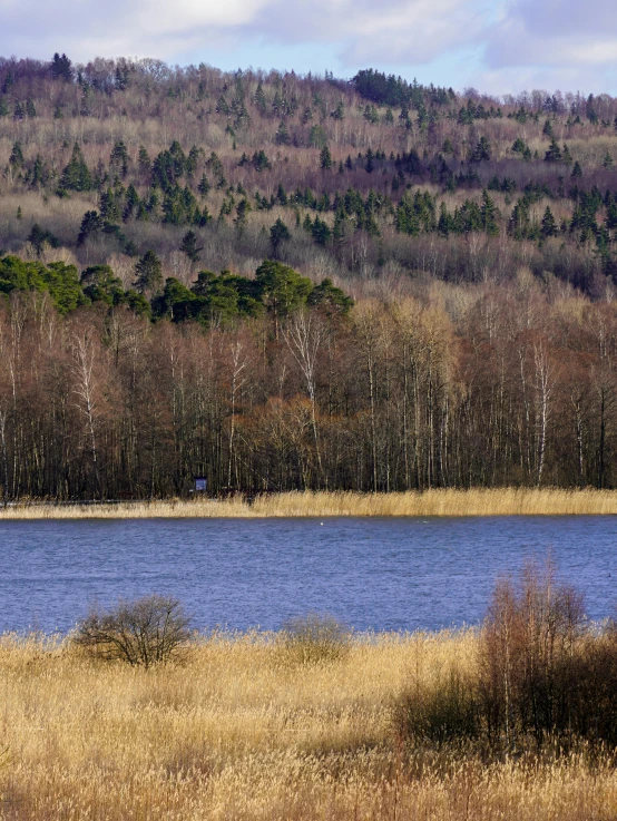 a small pond with a long boat is surrounded by grass and trees