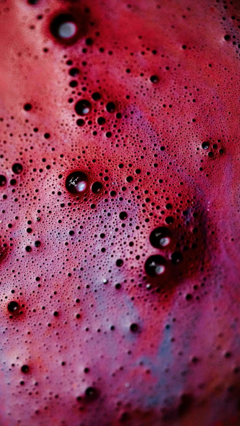 water bubbles are purple and pink in this closeup s