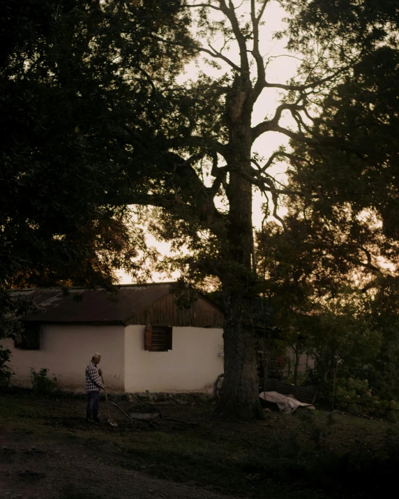 a man standing in front of a large tree on the grass