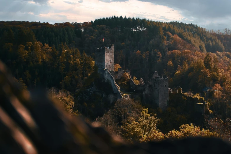 a castle on a hill with a few trees surrounding