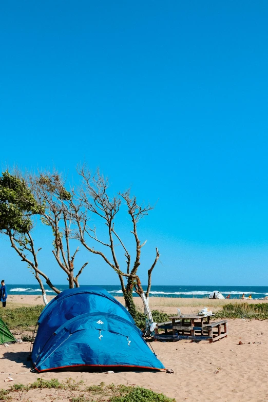 a blue tent that is on the sand near trees