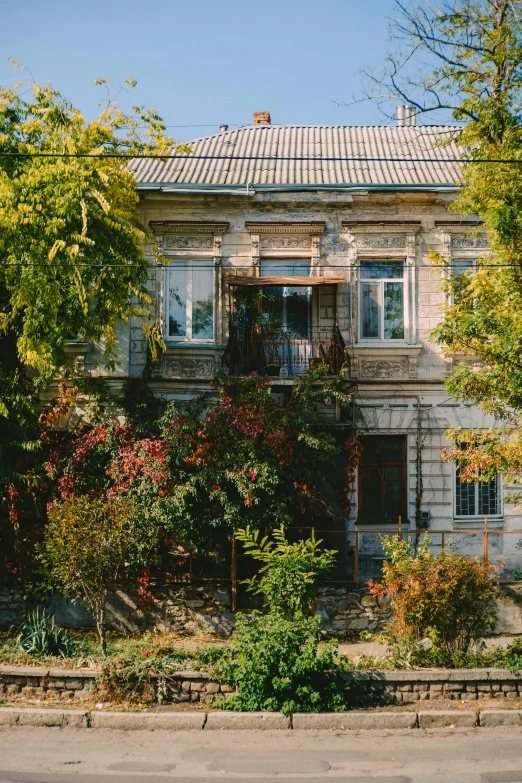 a white building with windows and some trees