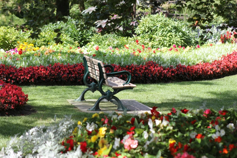 a bench sitting in a garden with many different kinds of flowers