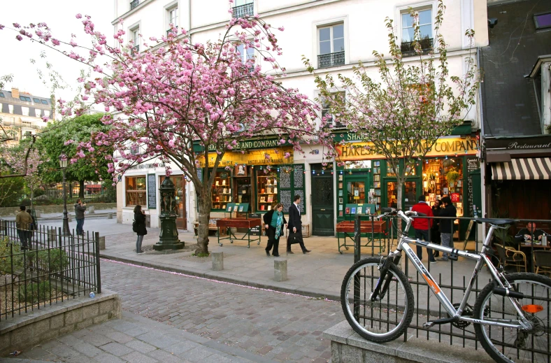 people walk near shops on a city street with pink flowers