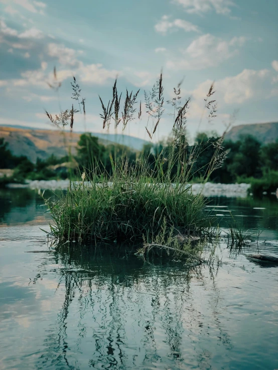 small grassy land and body of water under a blue cloudy sky