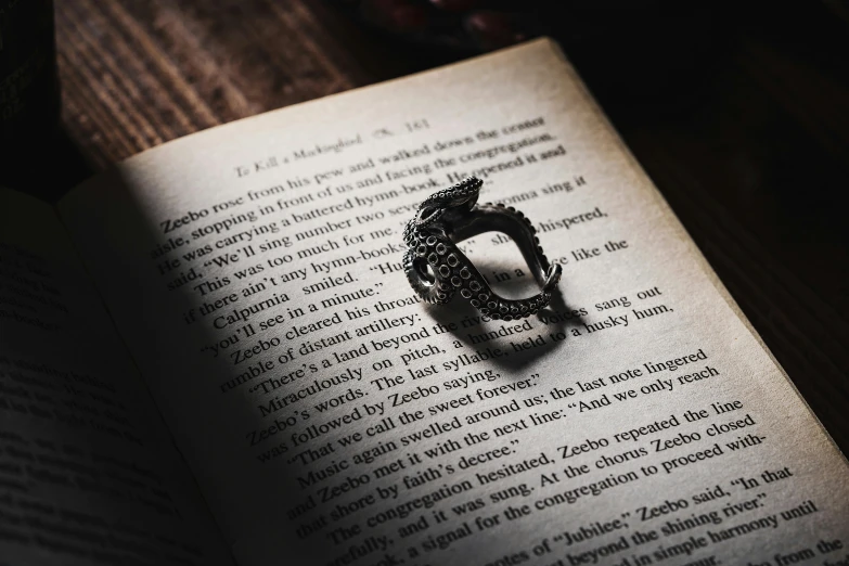 an open book with a ring on top