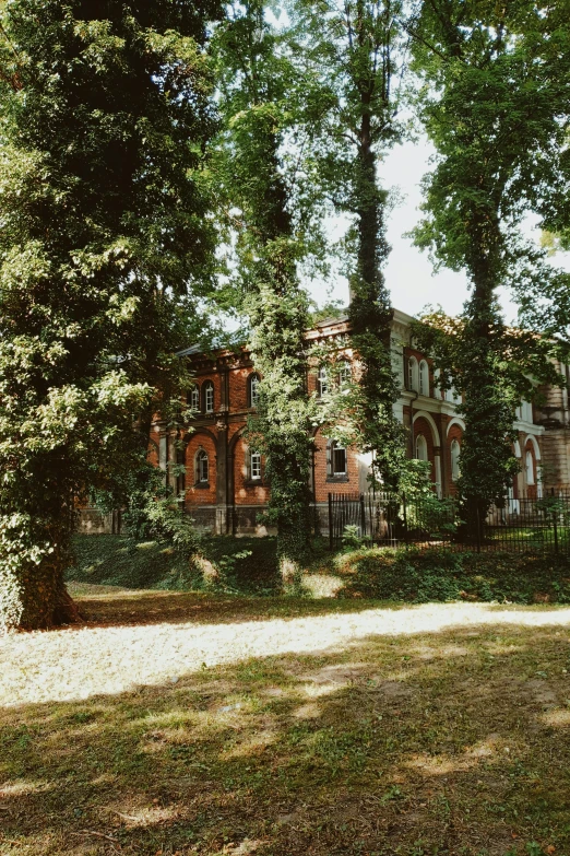 a house sitting in the middle of a forest