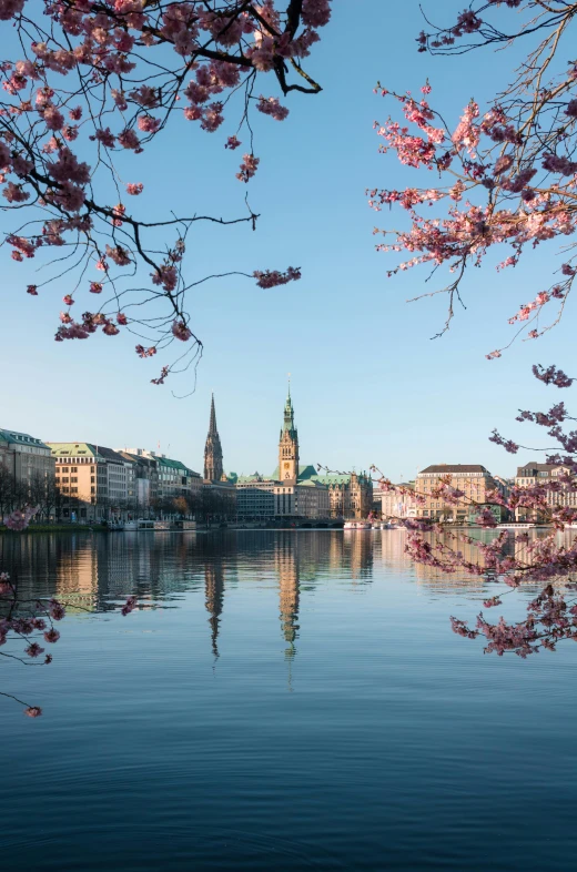 view of a city with the water reflecting it's surrounding