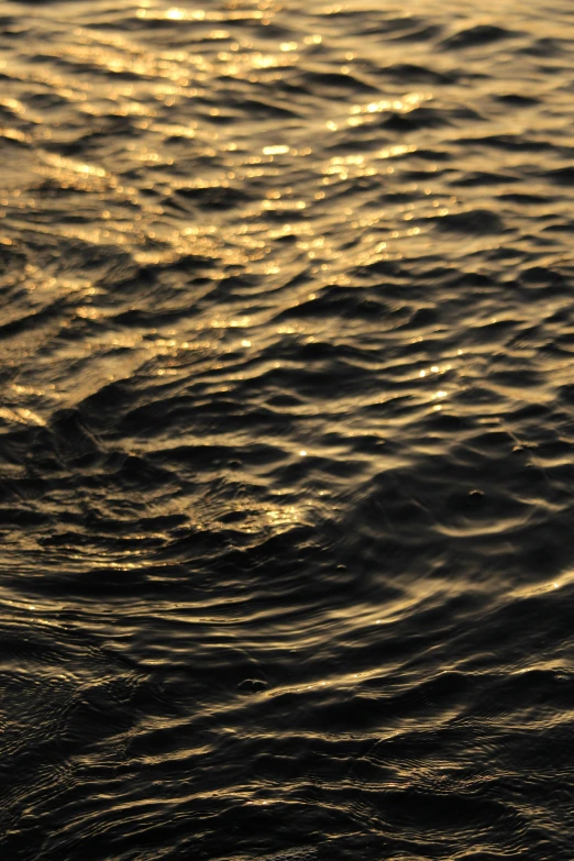 some very shiny waves in the water at sunset