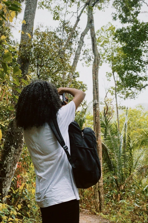 a woman walking through a forest, with trees in the background