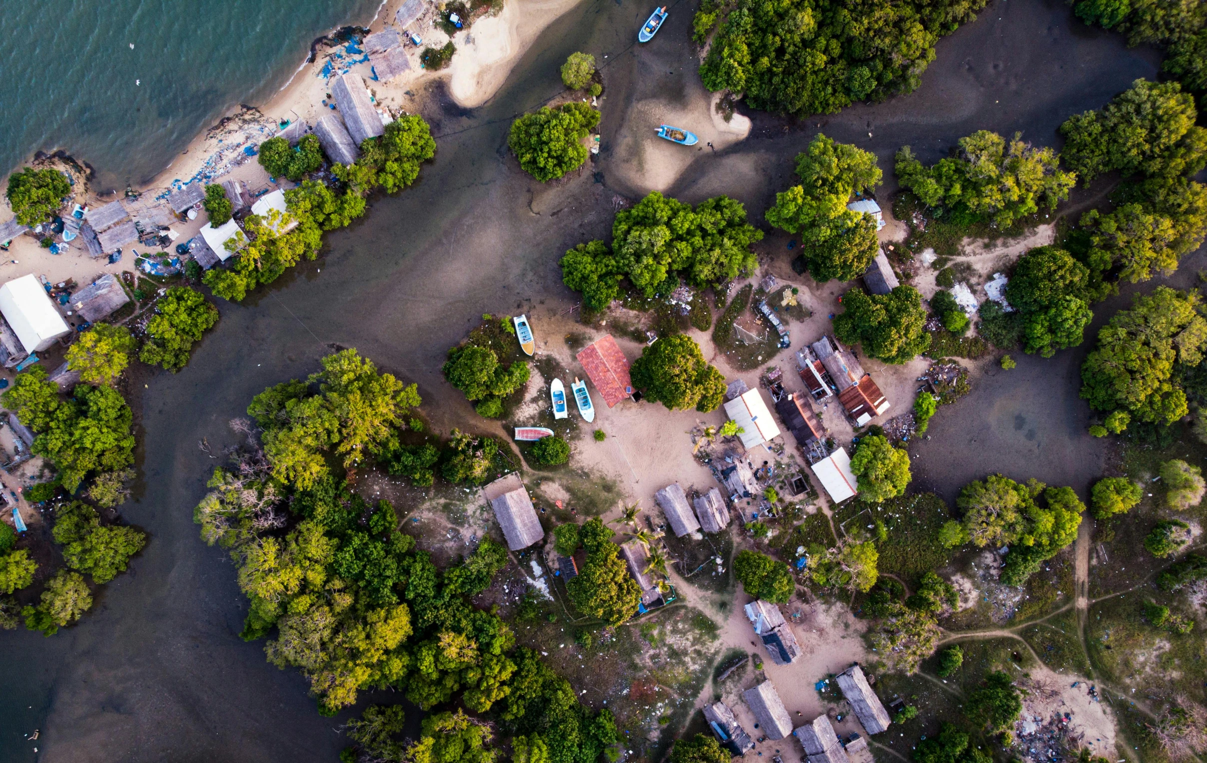 an aerial view of the coastline and trees