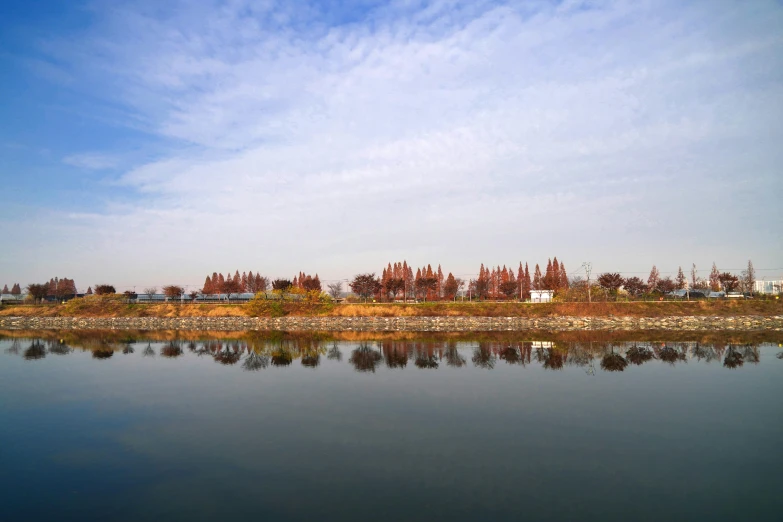 a large body of water with trees in the background