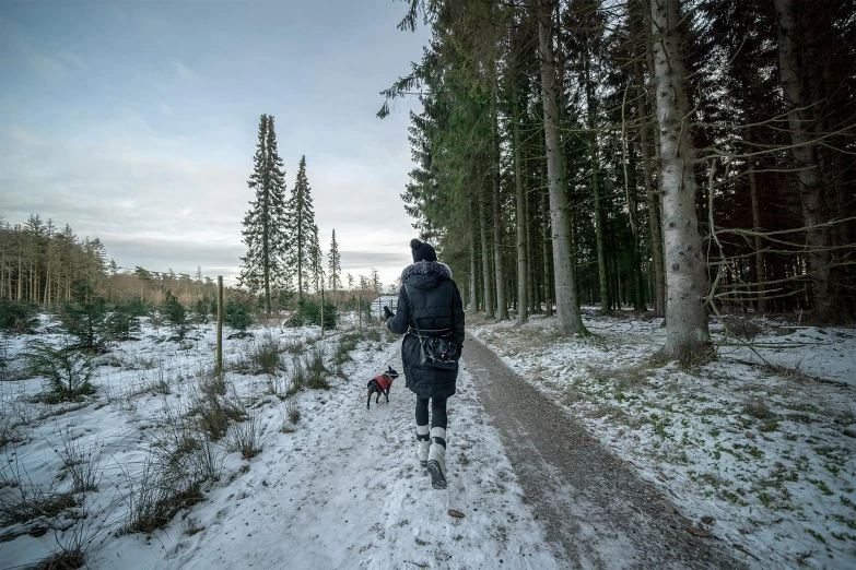 man with backpack walking on trail in winter through snowy forest