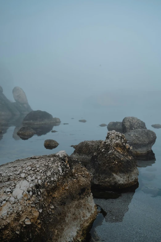 the rocks have been submerged in water