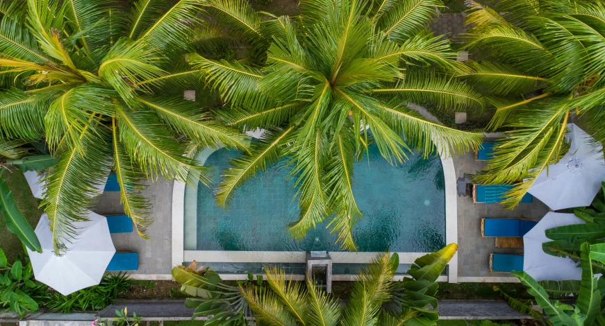 a pool surrounded by palm trees and blue water