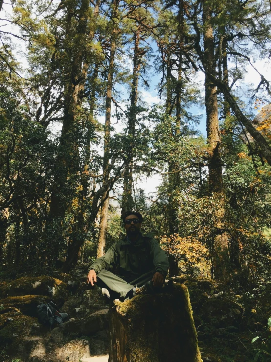 a person sitting on a wooden log in the woods