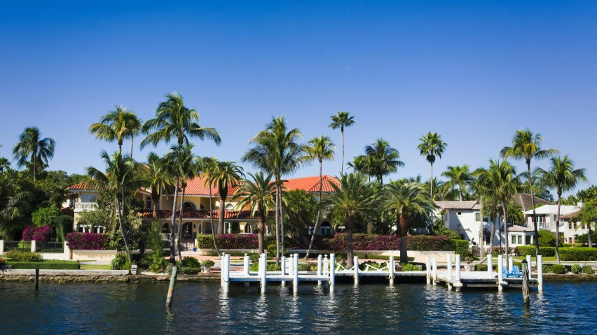 palm trees lined the water of a large home