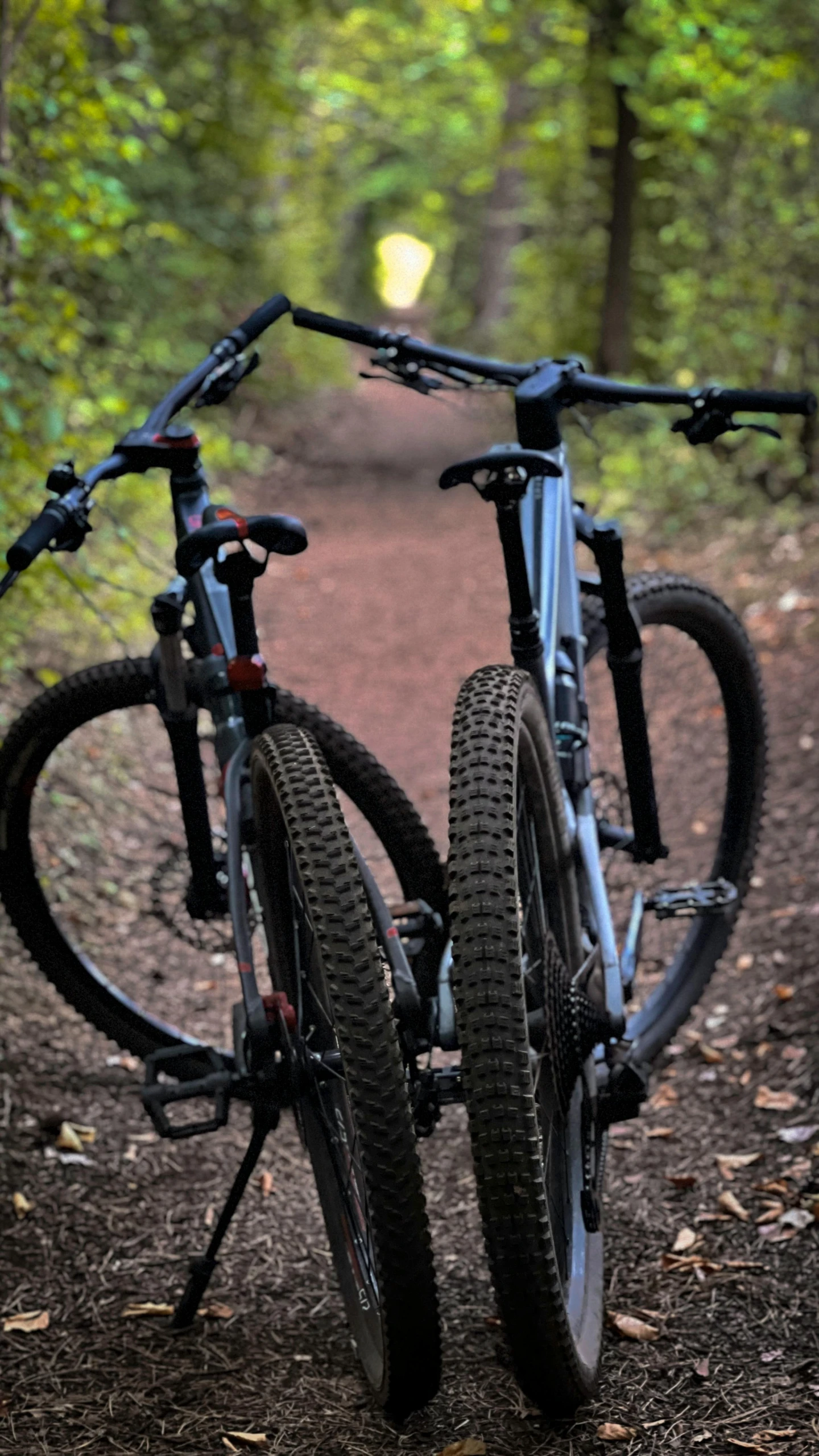 bicycle resting against post on trail in forest area