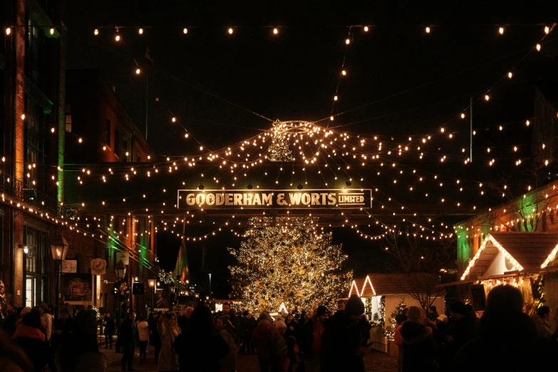 the decorated lights illuminate many different businesses