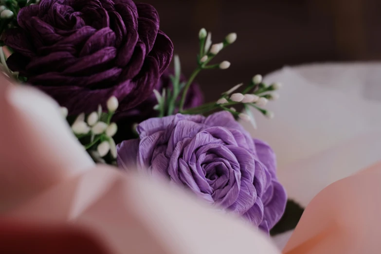 a closeup image of purple flowers in the middle