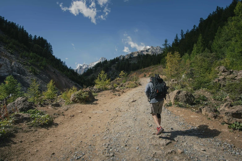 a person is walking down a dirt trail