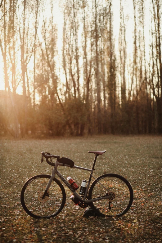 a bicycle lies in the grass next to trees