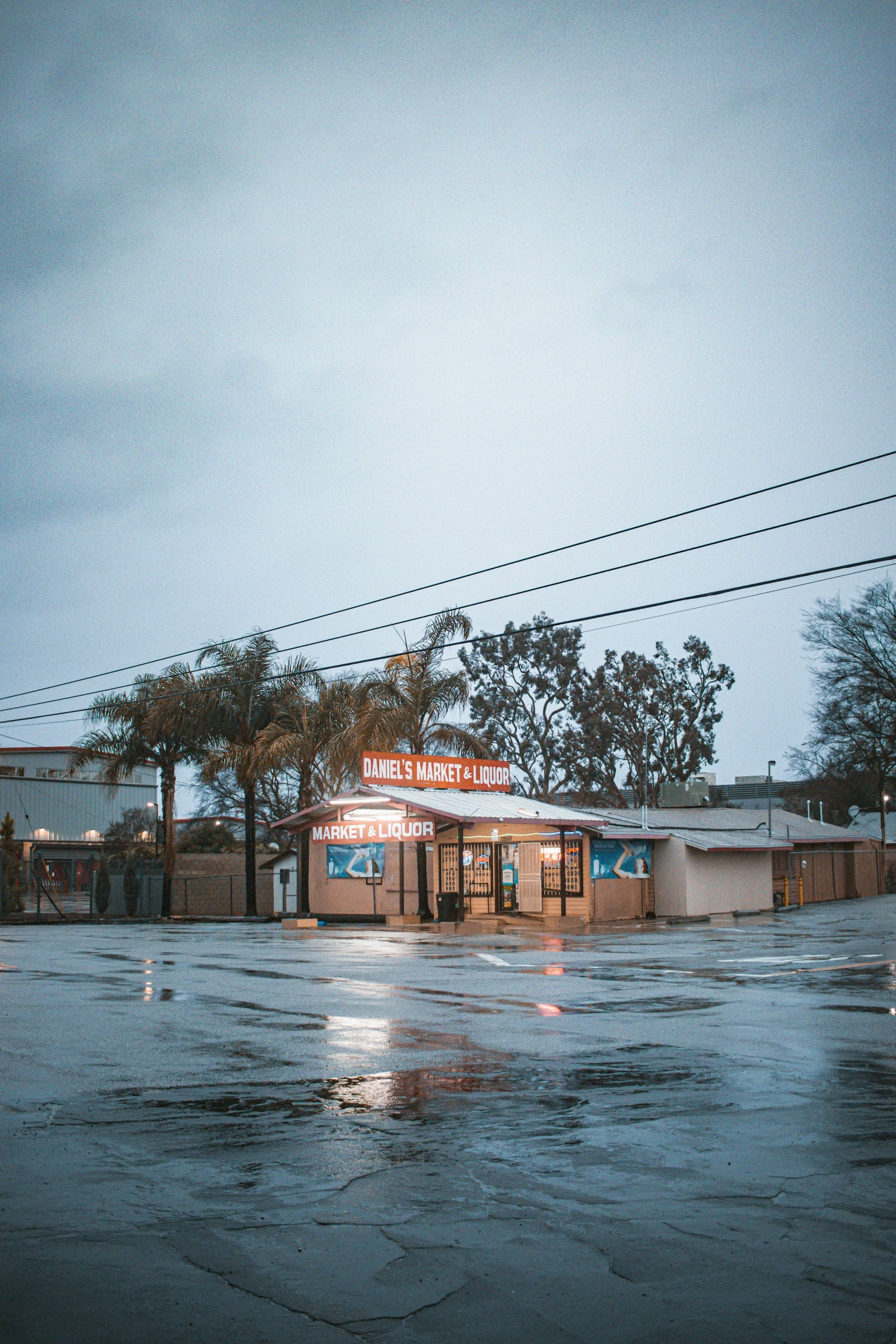 rain on the street and buildings near the trees