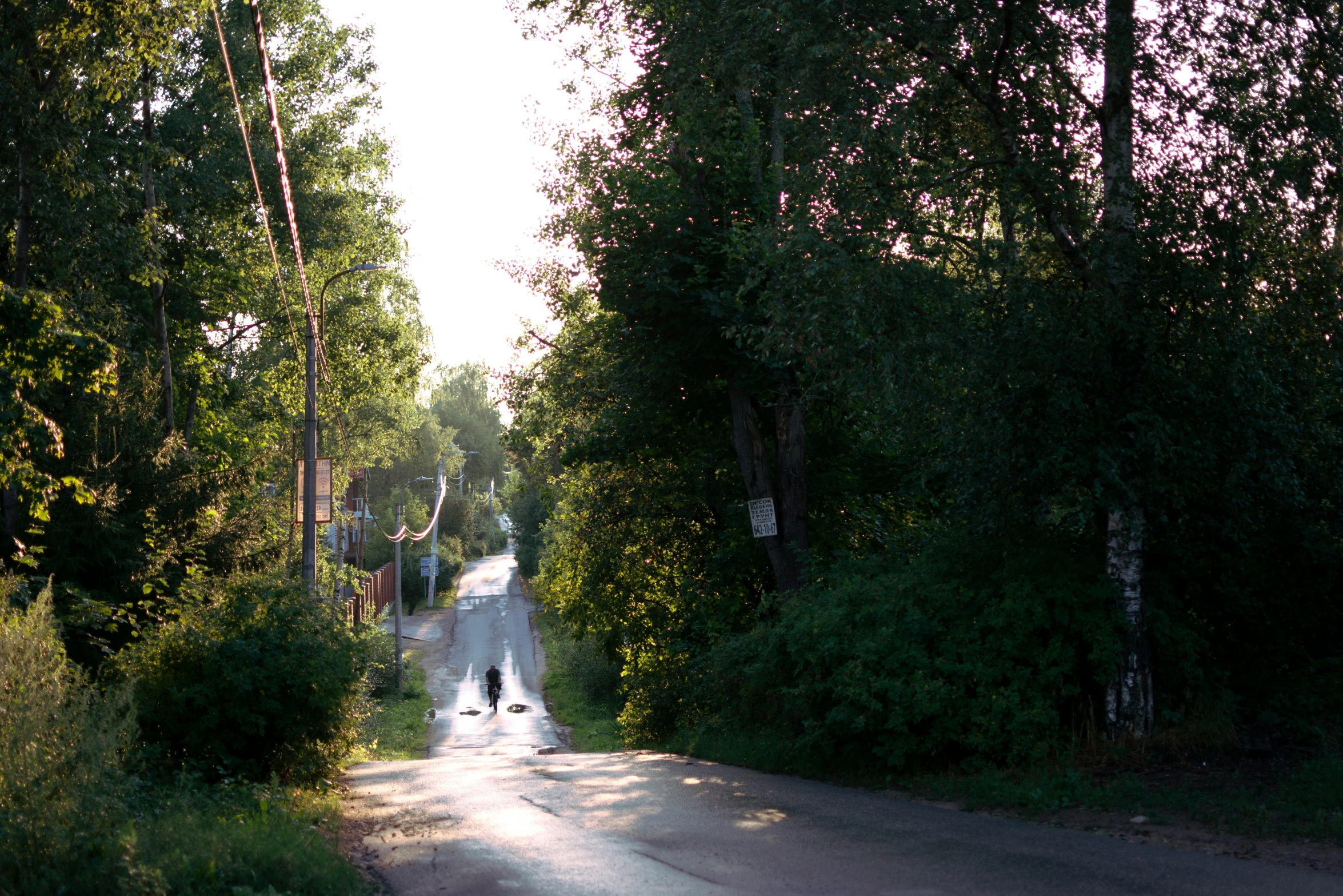 an empty, quiet country road in the late afternoon