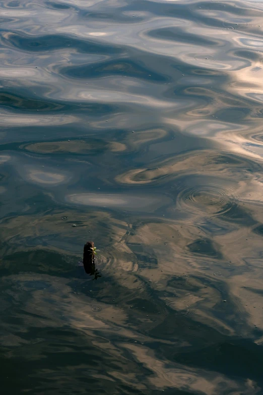 the water in the lake looks to have many interesting shapes