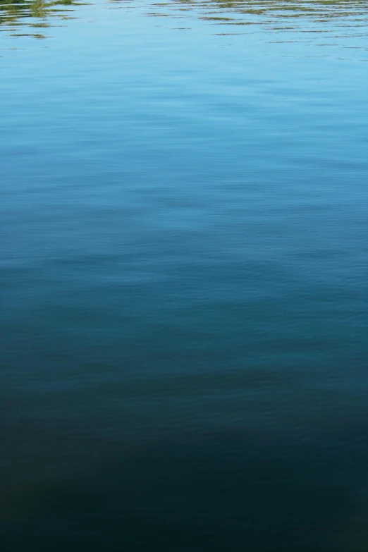 a canoe boat floating on the water