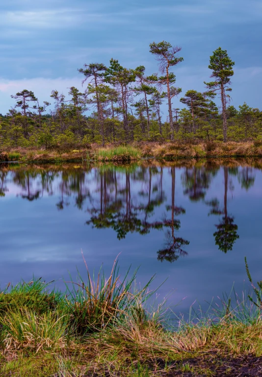 a water way with small lake surrounded by trees