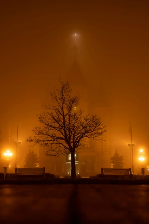 the street in the fog has benches and tree