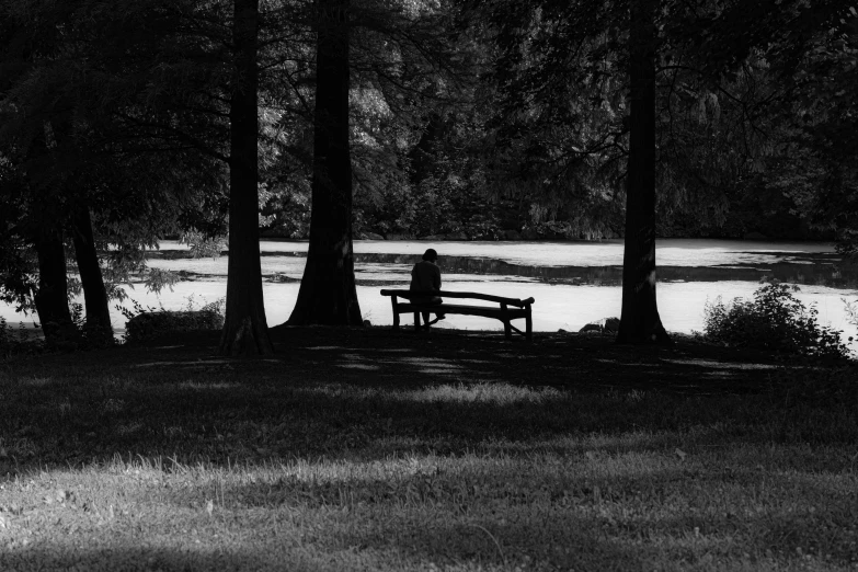 the bench by the water is empty and the trees are bare