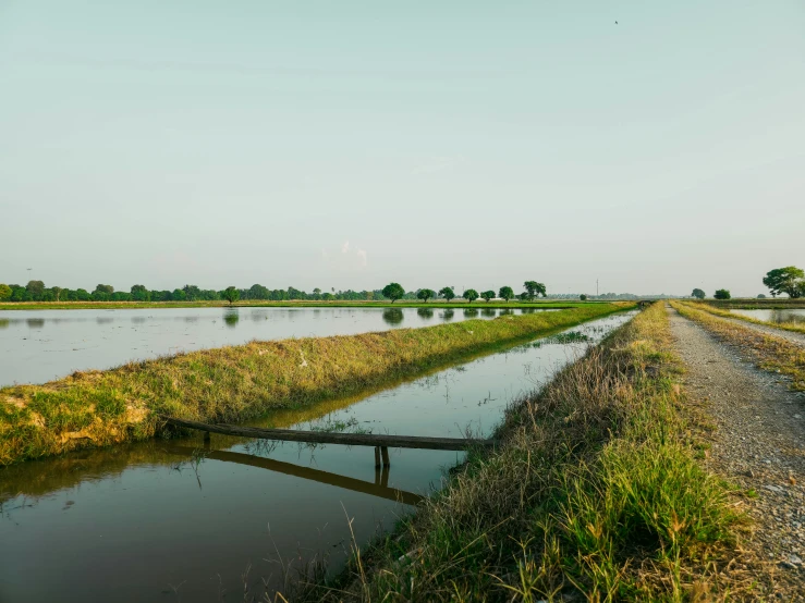 a dirt road next to water and grassy fields