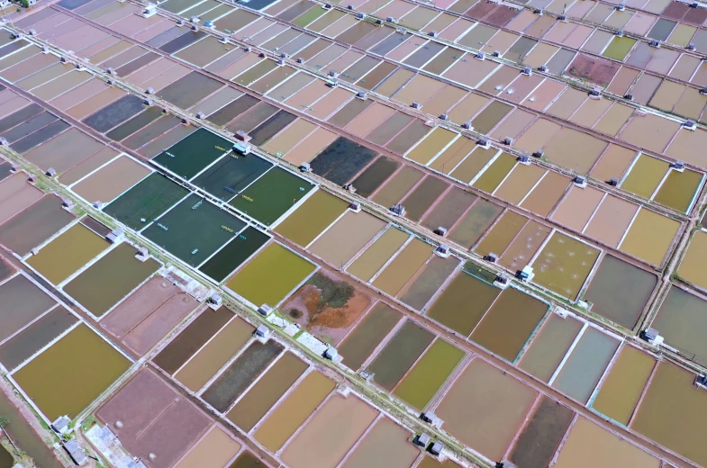 an aerial view of a field filled with lots of different colored ones