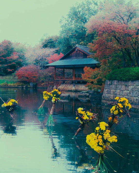 this is a pograph of a pond and flowers