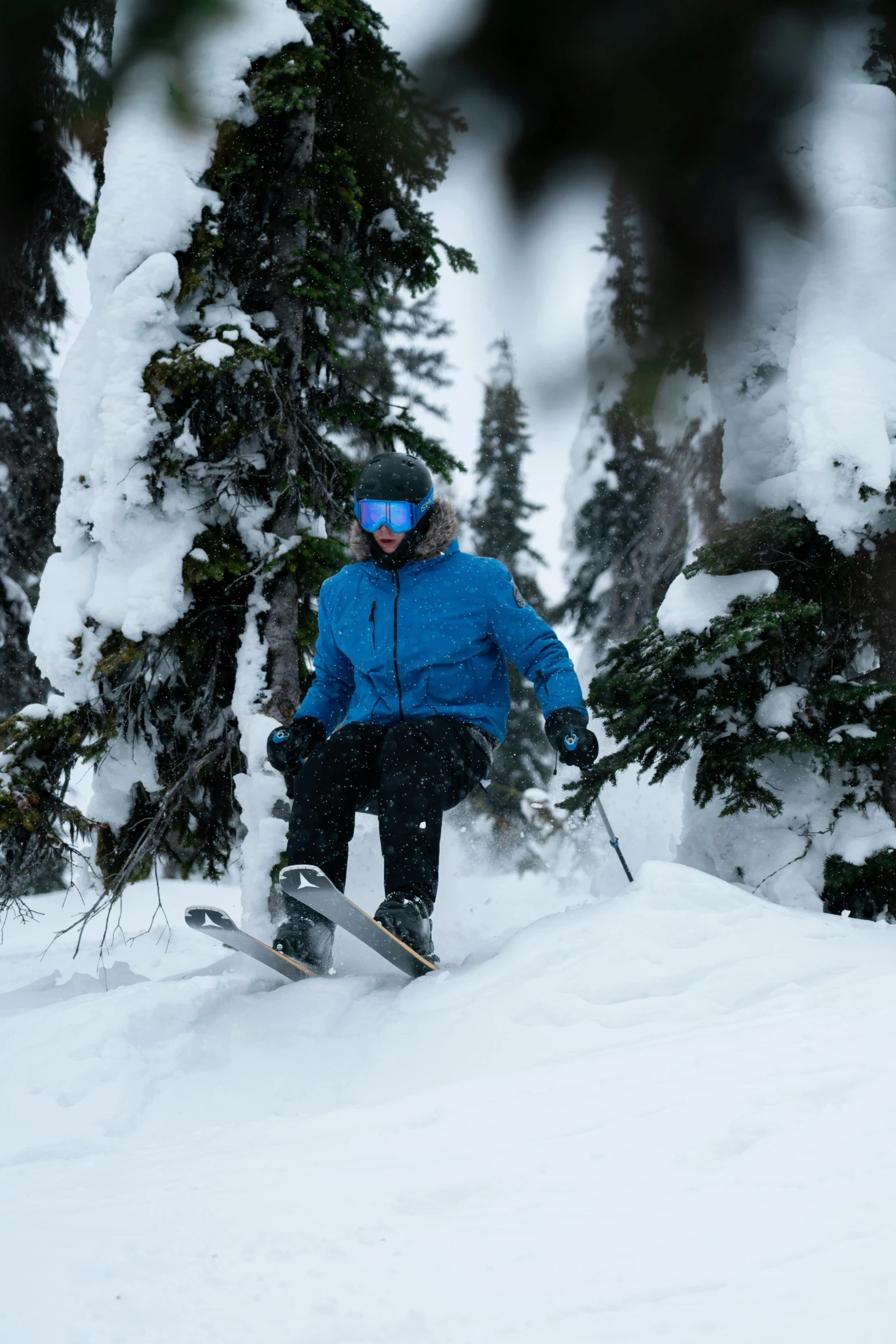 a skier travels down a snowy hill surrounded by evergreens