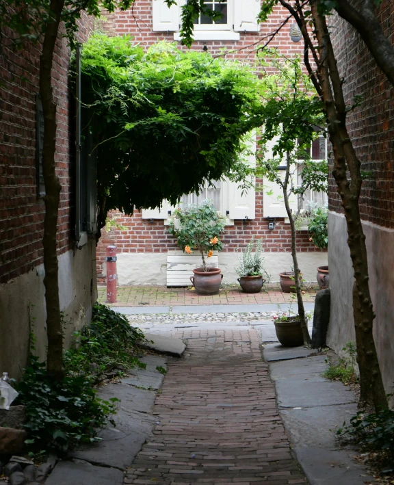 a brick alley leads to a white door that has a large white window on one side