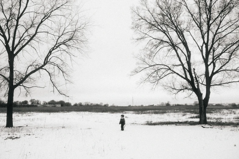 two trees in the snow, one has a figure walking away from them