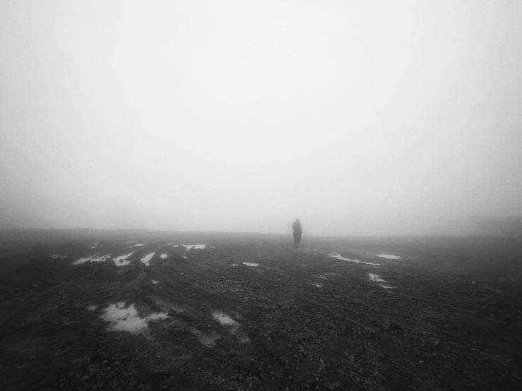 the lone person is standing in a foggy field