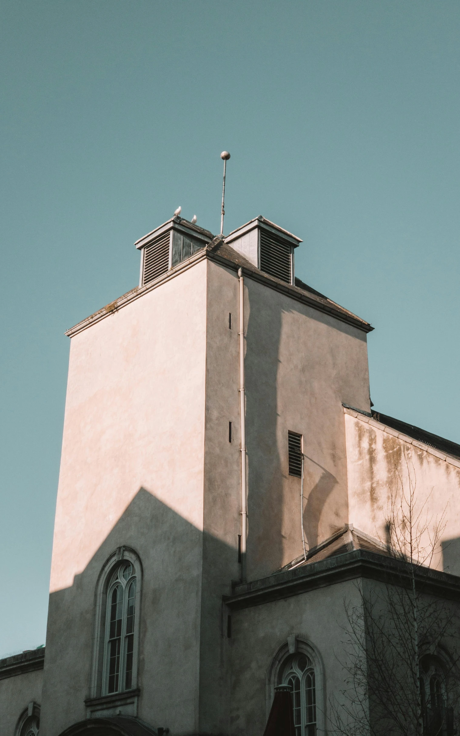 a bird is perched on the top of a building