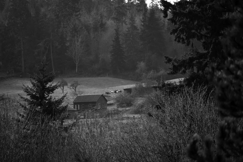 an empty field with trees and farm buildings